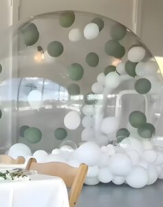 13' Bubble House Party Rental
